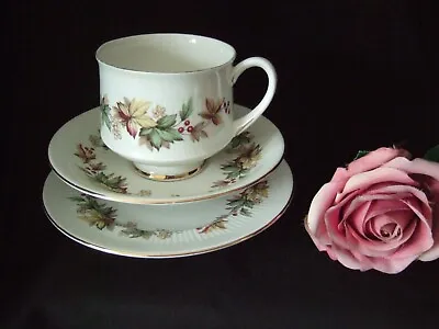 Buy Royal Standard TRIO Lyndale Fine Bone China Tea Cup Saucer Tea Plate • 3.99£