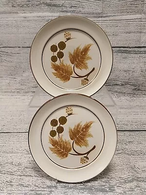 Buy Denby Cotswold Salad Plates 8in X2 NEW • 4.99£