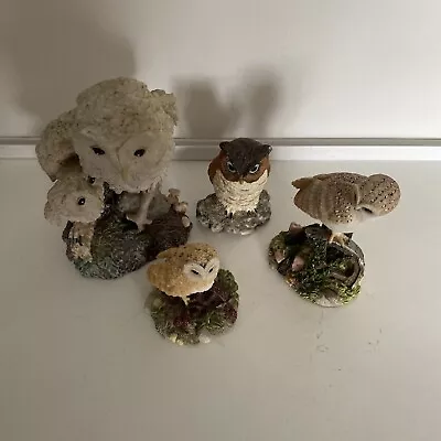 Buy Owl Figurine Collection Ceramic Pre Owned • 12£