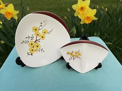 Buy Carlton Ware Mimosa Pattern Cake Plate & Small Hors D'oeuvres Dish • 18£
