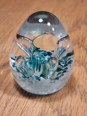 Buy Small Turquoise Caithness Paperweight Moonbeam  • 12£