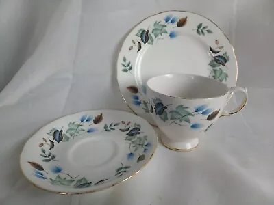 Buy Colclough Linden Vintage Bone China Cup Saucer Tea Plate Trio Made In England • 8.95£