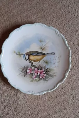 Buy Royal Albert Blue Titmouse 8.5  Plate In Excellent Cond.. Woodland Collection. • 5£