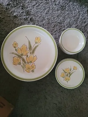 Buy Vintage 26pc Dinnerware Stonybrook Stoneware Japan 70s Spring Collection Floral  • 70.96£