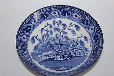 Buy Antique Blue & White Northern Pottery Saucer Peacocks Pattern Marked 71 To Base • 8.99£