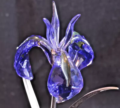 Buy Swarovski Crystal - Damboa - Blue Violet - Paradise Flower Collection - 848449 • 150£