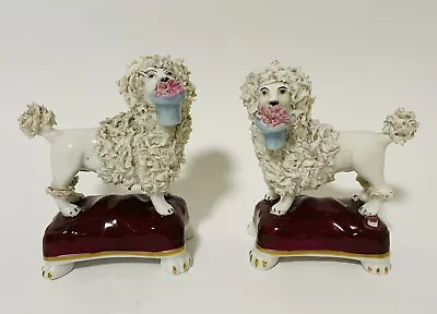 Buy Pair Of Antique Victorian Staffordshire Poodle Dog Figures Chelsea • 115£