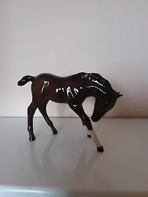 Buy Royal Doulton Beswick Foal, Head Down, Brown Gloss, PERFECT Condition • 18.30£