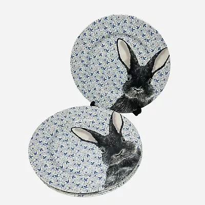 Buy ROYAL STAFFORD Floral Chintz Blue Easter Bunny 11  Dinner Plates Set Of 4 NEW  • 63.86£