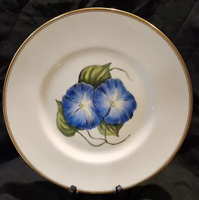Buy Vintage Royal Worcester Dinner Ware X8 Floral Plates Gold Edge 10.5  Bone China • 664.11£