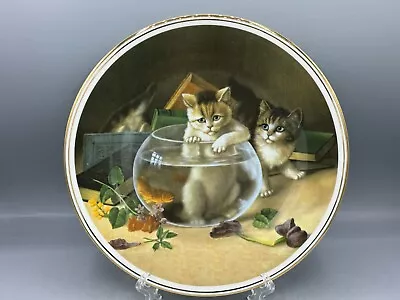 Buy Fenton China Unexpected Dip Delightful Kitten Scenes Cat Large Plate  (763) • 14.95£