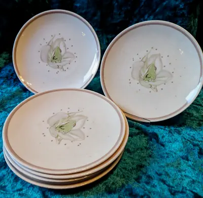 Buy SIX Wedgewood By Susie Cooper, Floral  Fine Bone China Plates • 10.90£