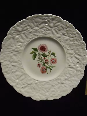 Buy ROYAL CAULDON China WOODSTOCK Pattern LUNCHEON PLATE 9-1/4  PIMPERNEL • 14.34£