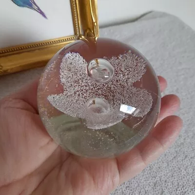 Buy Caithness Art Glass Paperweight Clear Flower Morning Dew Scotland • 8£