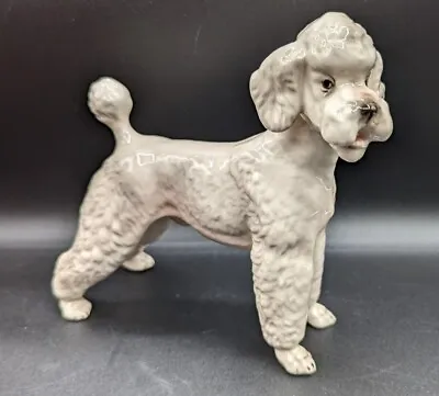 Buy Keramos White Standard Poodle Boy Dog Figurine, Wien Vienna Austria, Large • 75.90£