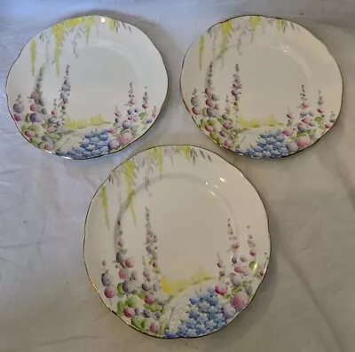 Buy Foley  Foxgloves, Countryside  3 Large Tea Plates Excellent Condition 18cm  • 5.99£