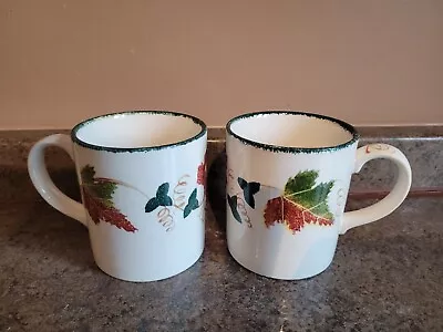 Buy Vintage Poole Pottery  New England Hand Painted Cups Mugs X 2 Autumn Leaves • 15£