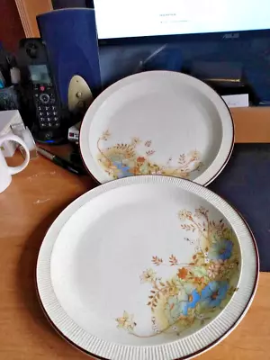 Buy Vintage Retro Poole Pottery Floral Melbury Pattern Dinner Plate 26cm 2 Available • 6.99£