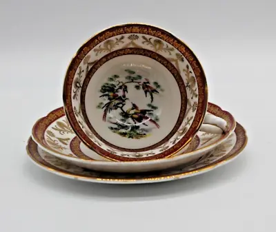 Buy Royal Grafton Harlequin Trio, Cup, Saucer & Side Plate. Red/Gold Fine Bone China • 20£