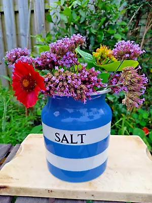 Buy Vintage T. G. Green Cornish Kitchen Ware Large Salt Storage Jar Without Lid • 32£