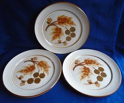 Buy 3 X Vintage Denby Stoneware Cotswold  Pattern Dinner Plates 9.75'' • 12£