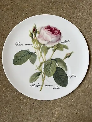 Buy Roy Kirkham Redouté Roses Saucer Plate 8” Fine Bone China • 6£
