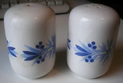 Buy Hornsea Pottery Blue And White Salt And Pepper Pots (18) • 9.50£