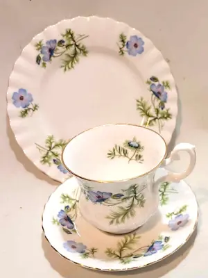 Buy Richmond Blue Poppy Coffee Cup Saucer Plate Trio Demitasse Size • 10£