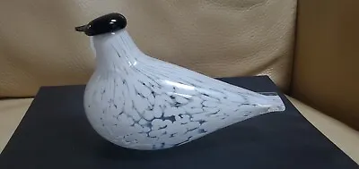 Buy Muurla Finland Glass Bird White & Clear With Sticker • 94.83£