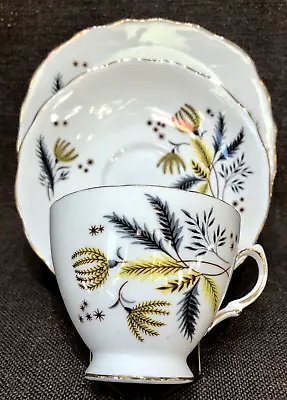 Buy Vintage Colclough Pattern 6791 Bone China Tea Cup Trio • 5£