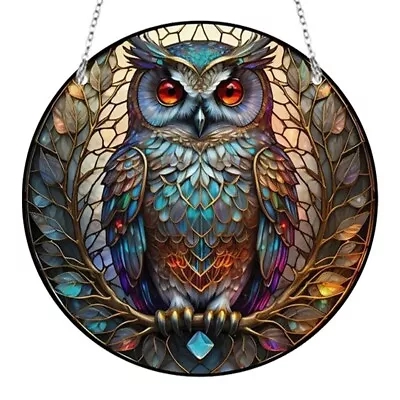 Buy Wise Owl Pre-assembled Acrylic Suncatcher Wall Hanging Home Decor Gifts • 6£