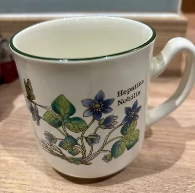 Buy Prinknash Pottery  Tea Cup Florabunda - Hepatica Nobilis/Ranunculus • 10£