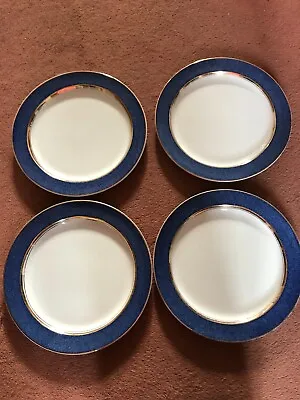 Buy Woods Ware Vintage Powder Blue Plates X 4  10 Inch • 11£