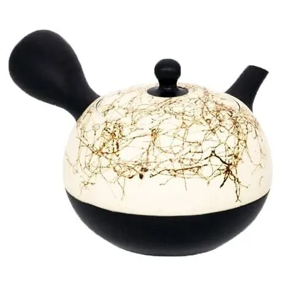 Buy Tokoname Ware Teapot 4-570 Showa No. 11 Black Mud White Teap... Ships From Japan • 91.24£