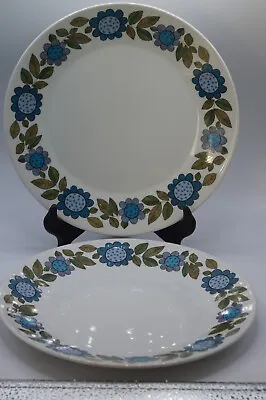Buy 2 X Vintage J&g Meakin Ironstone 25cm Dinner Plates In The Topic Pattern. • 12.99£