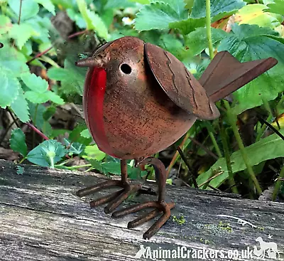 Buy Metal Robin Garden Ornament Decoration Quirky Unusual Novelty Bird Lover Gift • 10.95£