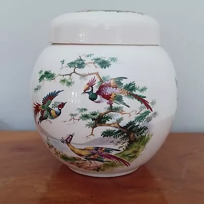 Buy Vintage Sadler Ginger Jar With Lid Birds Of Paradise Design 13cm High • 15£