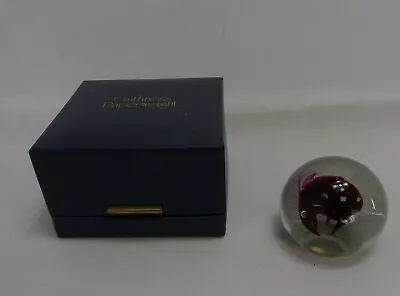 Buy Vintage Caithness Paperweight Space Rose Limited Edition Signed - Thames Hospice • 15£