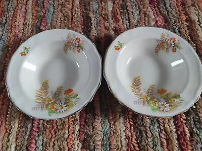 Buy Alfred Meakin Pair Of Daisy Bowls  • 0.99£