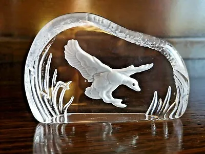 Buy Wedgwood Crystal Glass Flying Duck Paperweight  • 14.99£