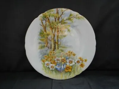 Buy Shelley - Fine Bone China, Daffodil Time 13370, Bread And Butter Plate - 6 Inch • 11.99£