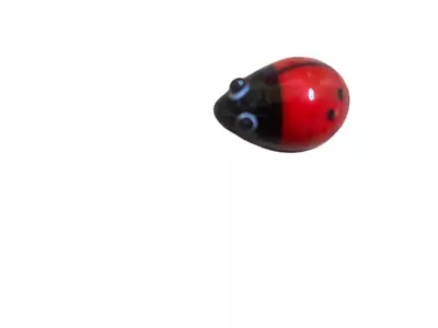 Buy Mini Glass Ladybird Ornament • 6.99£