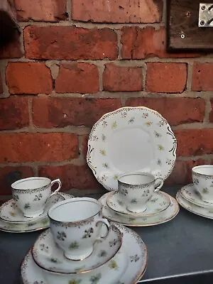 Buy Vintage Salisbury Bone China Part Tea Set Part Hand Painted Flowers & Gilt Rim • 18£