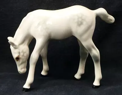 Buy Beswick Foal Grazing Thoroughbred Grey Head Down • 9£