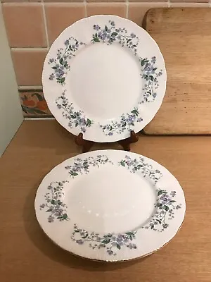 Buy 2 Paragon Bone China Dinner Plates - Forget Me Not Pattern - 10.5 Inch • 14£