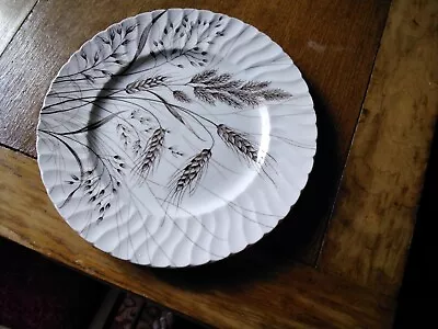 Buy 1  English Ironstone Tableware Pottery 25cm Cream Plates With Wheat/Oat • 2£
