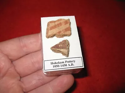 Buy Hohokam Extinct Tribe Indian Pottery Shard 800 Yrs Old Arizona Display Case #5 • 10£