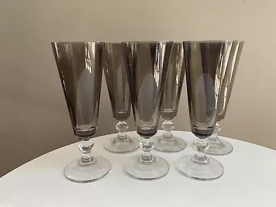 Buy Champagne Glasses Flutes X 6. NEW. Smoked Glass, Clear Short Stem. H-18.5cm. • 19.50£
