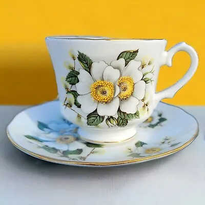 Buy Vintage Duchess Bone China Cup & Saucer Set White Yellow Begonia Gold Trim  • 15.34£