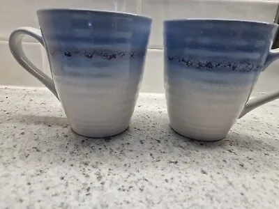Buy Dartington Stonewear 2 X Large Blue Coffee Mugs - New • 9.99£